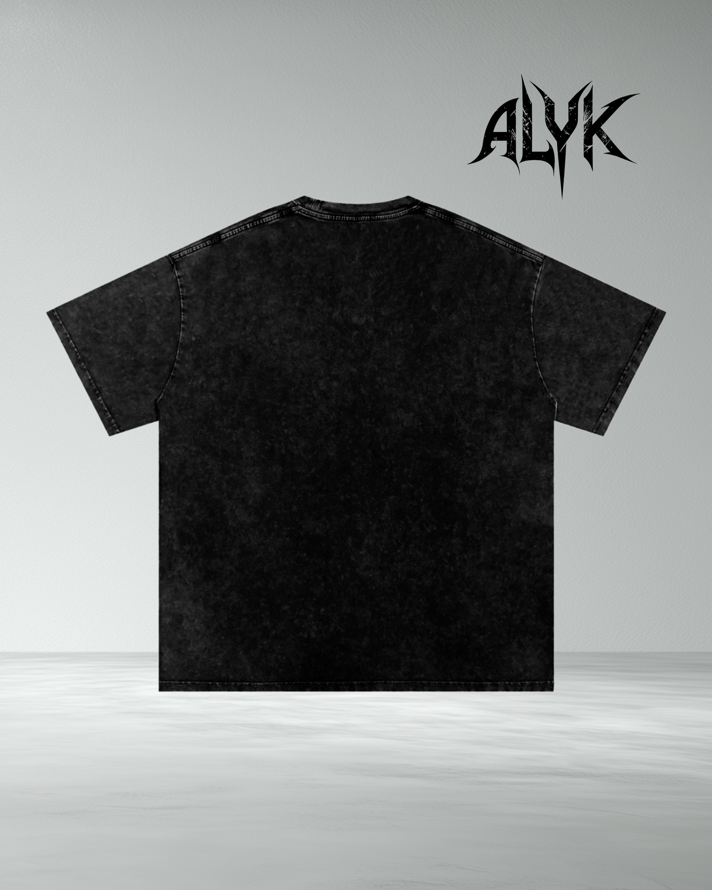 ALYK Snow Wash 'The Fall' Graphic T