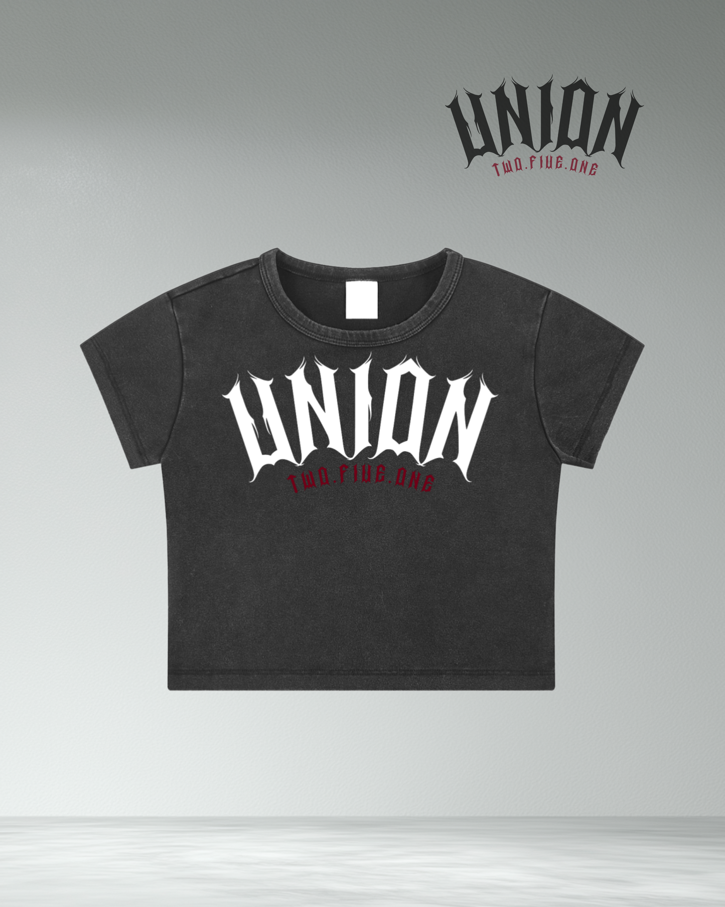 Union251 Vintage wash crop top