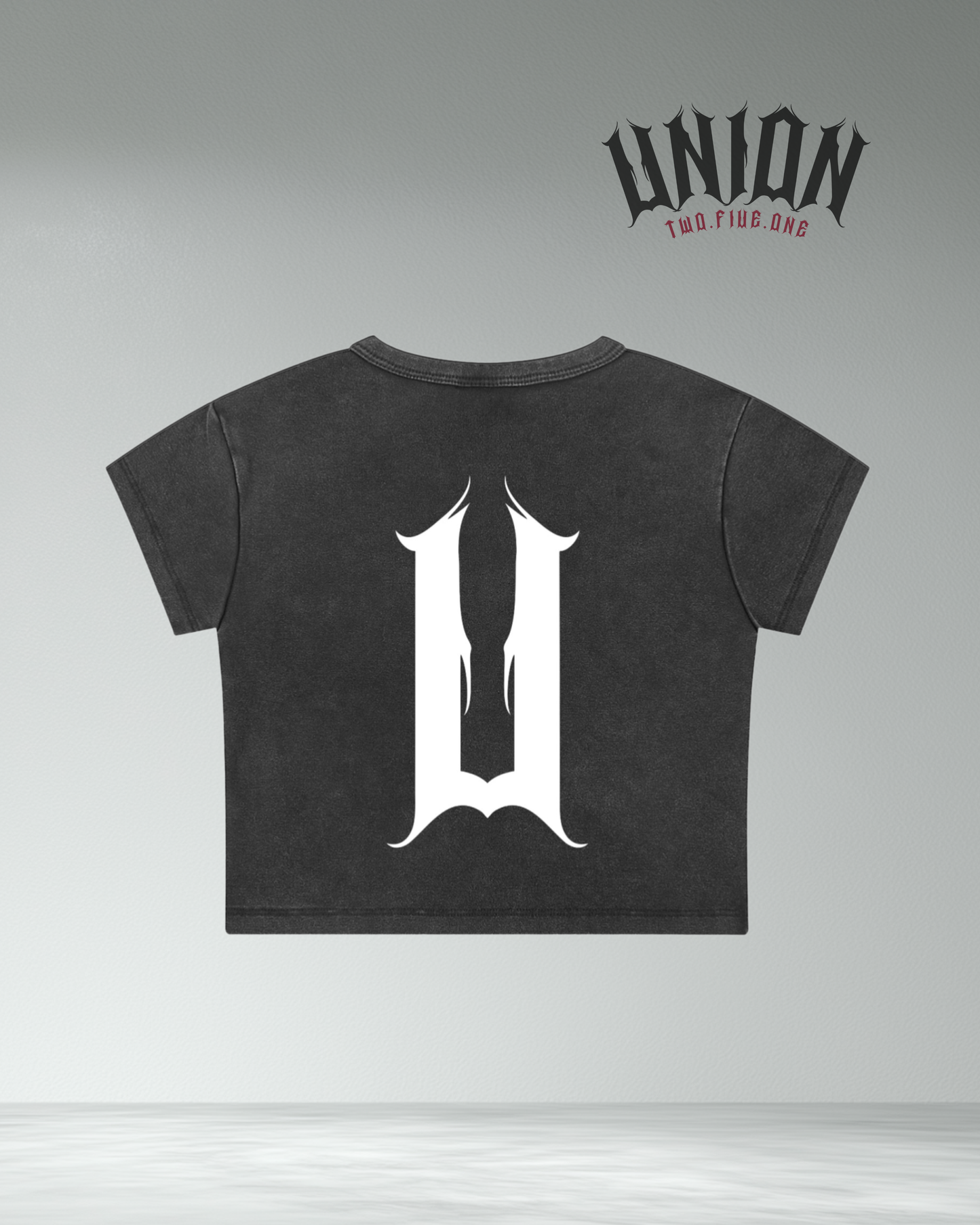 Union251 Vintage wash crop top