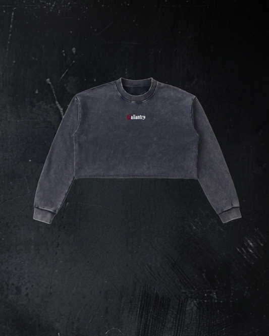 Classic vintage wash raw edge cropped sweatshirt